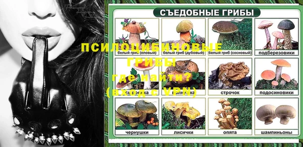 мяу мяу кристалл Корсаков