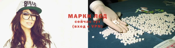 мяу мяу кристалл Корсаков