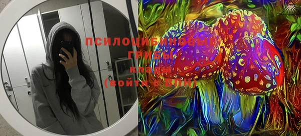 мяу мяу кристалл Корсаков