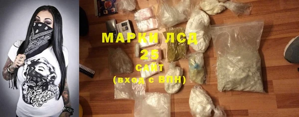 мяу мяу кристалл Корсаков