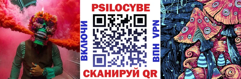 Галлюциногенные грибы Magic Shrooms  Купить где  Ачхой-Мартан 